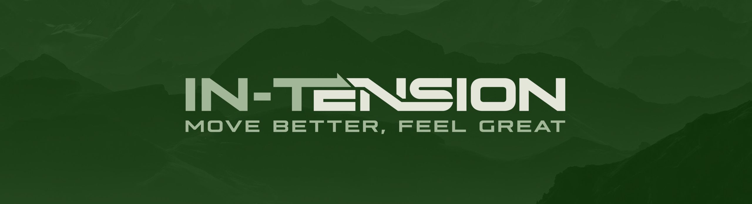 Logo-01 (1) In-Tension: Palmerston North, New Zealand